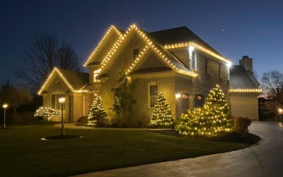 The Rise of Themed Christmas Lighting for 2024