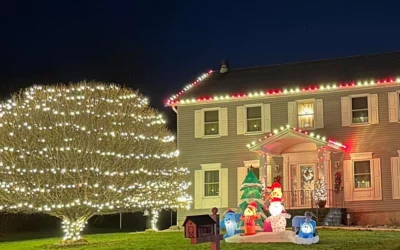 How to Choose the Right Color Scheme for Your Holiday Display